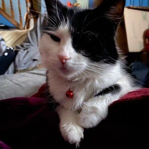 Meet your Posher, Chloe